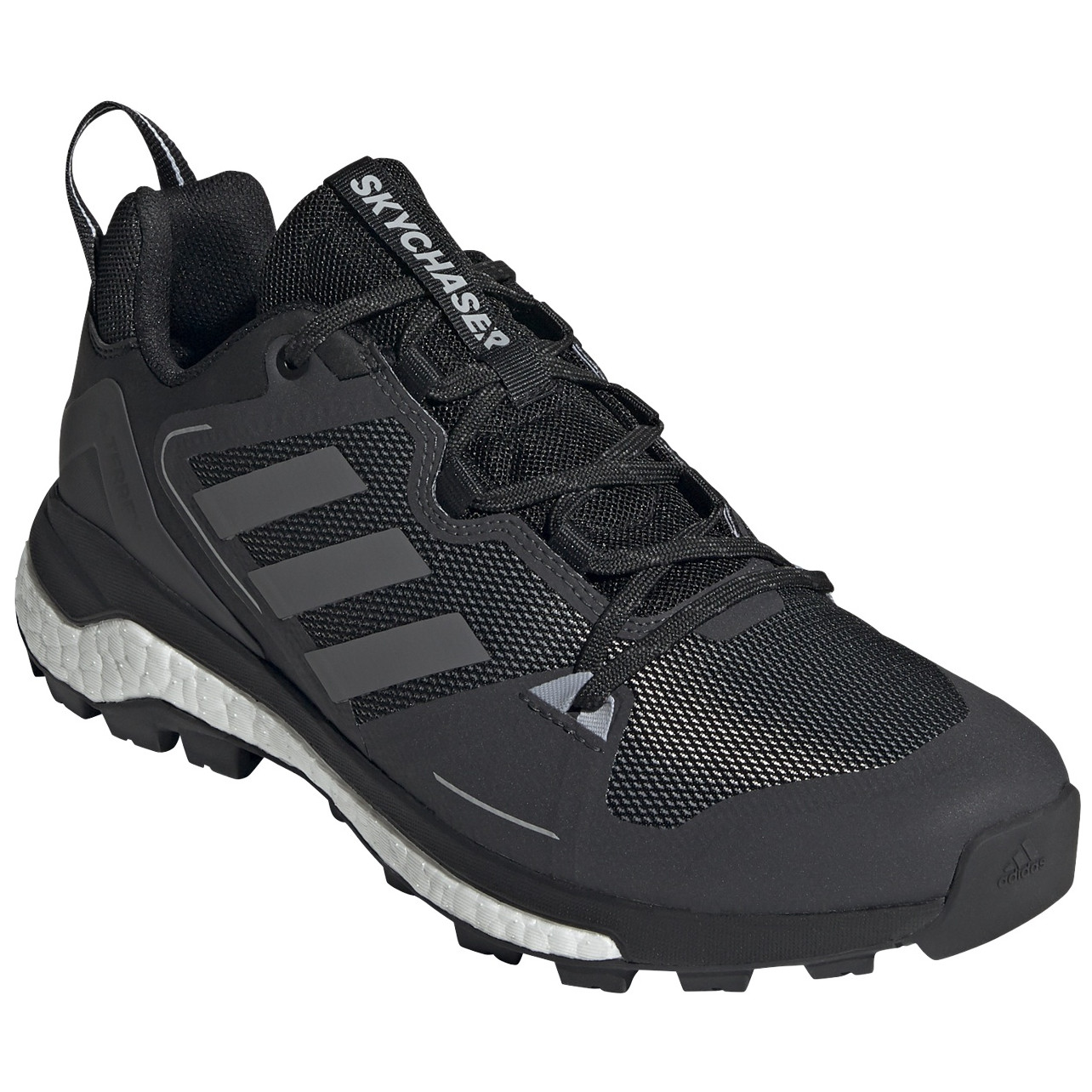 Pánské boty Adidas Terrex Skychaser 2 Velikost bot (EU): 45 (1/3) / Barva: černá