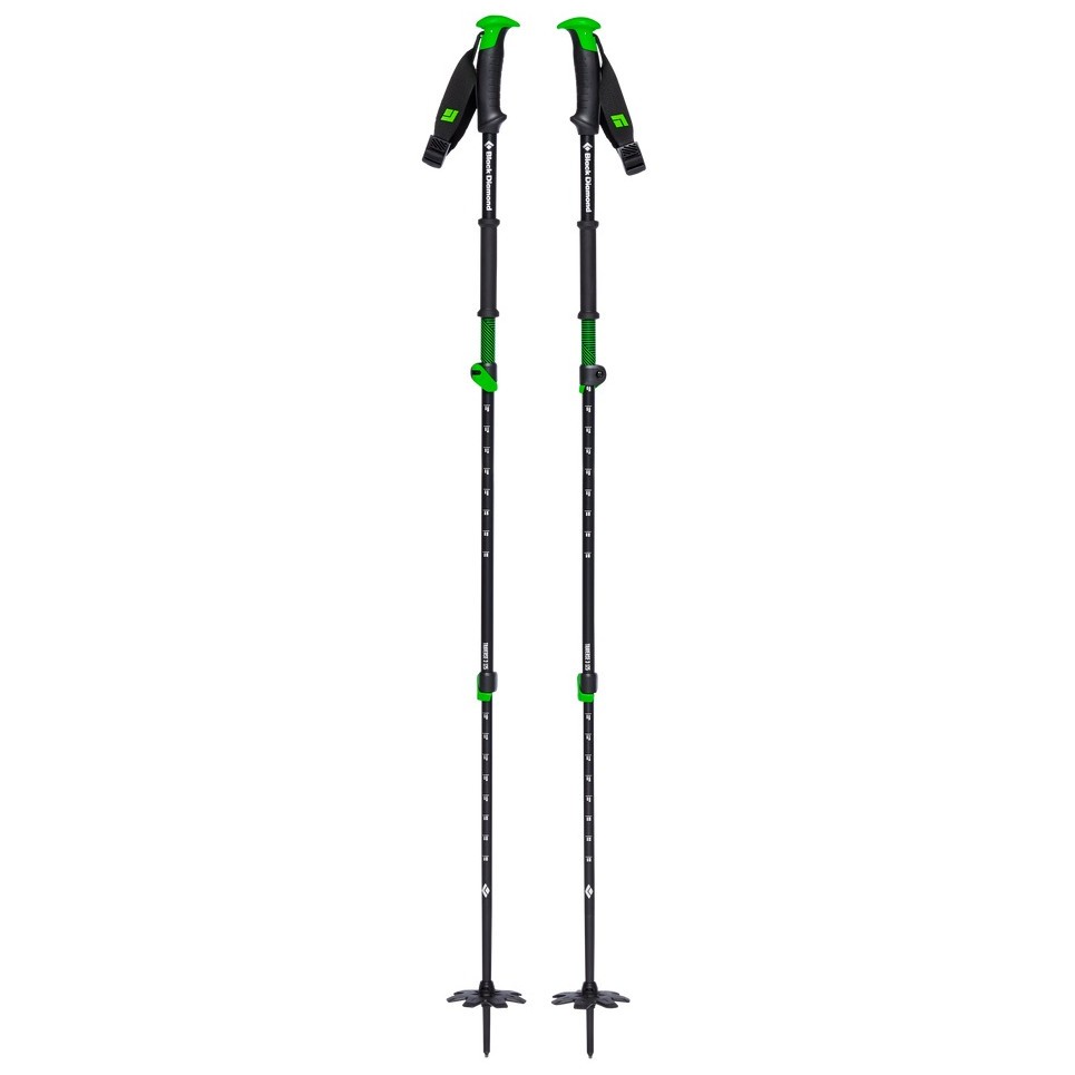 Lyžařské hole Black Diamond Traverse 3 Ski Poles Délka holí: 140 cm / Barva: černá/zelená