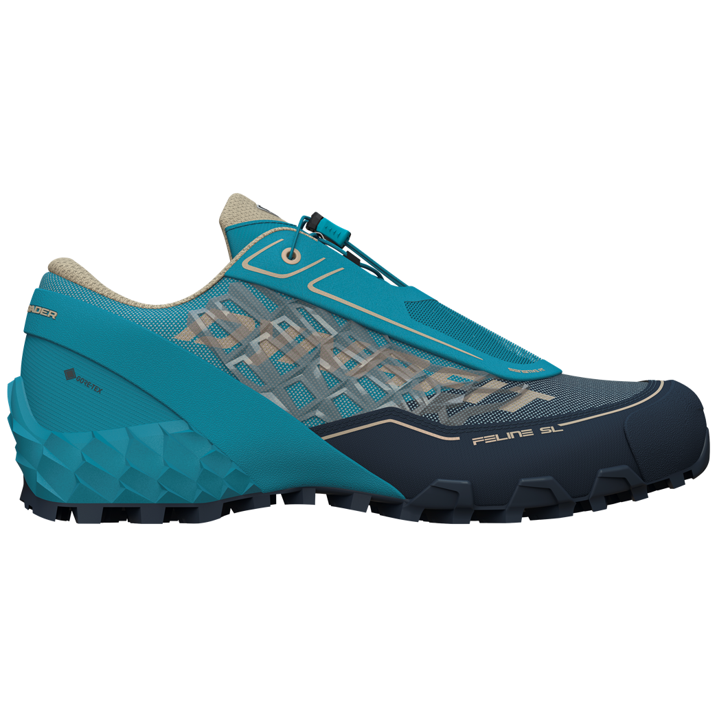 Pánské běžecké boty Dynafit Feline Sl Gtx Velikost bot (EU): 41 / Barva: modrá/fialová